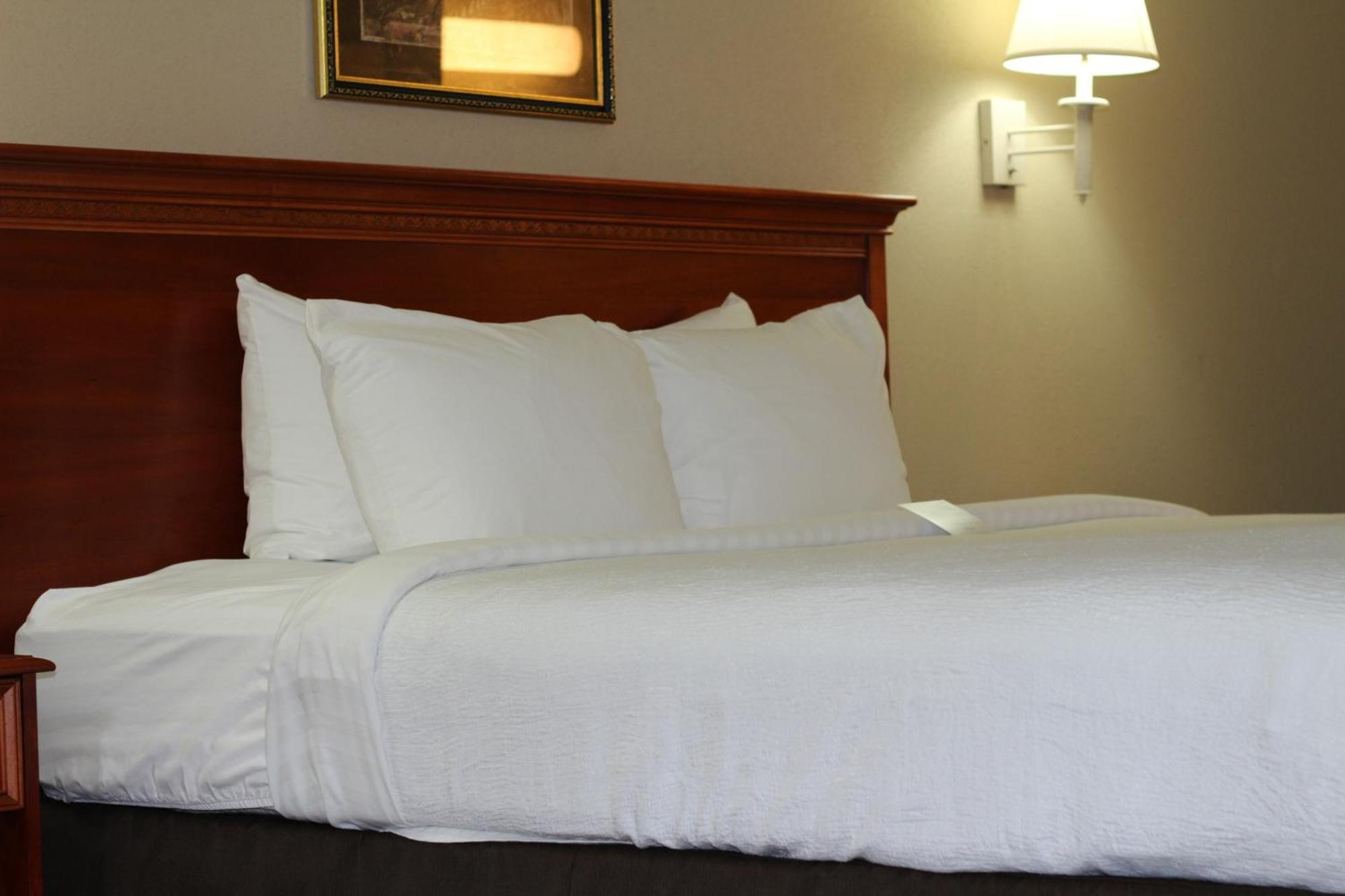 Country Inn & Suites By Radisson, Lackland Afb San Antonio , Tx Rum bild